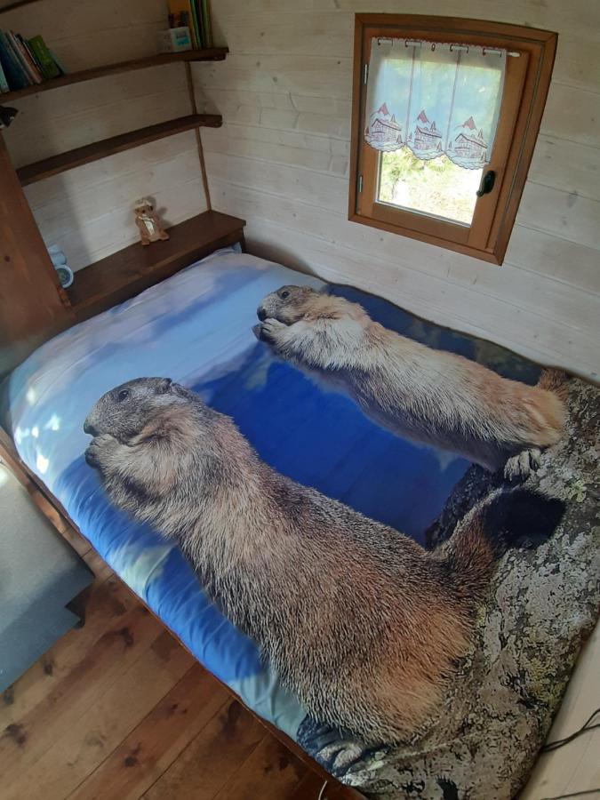 Roulotte La Marmotte Villa Poinson-les-Fayl Bagian luar foto
